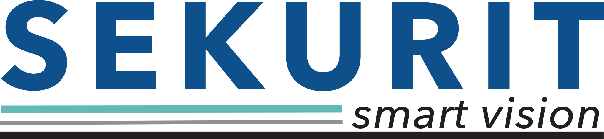 Saint-Gobain Sekurit logotipas